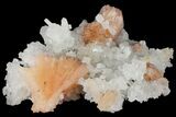 Orange Stilbite and Quartz Crystal Association - India #102396-2